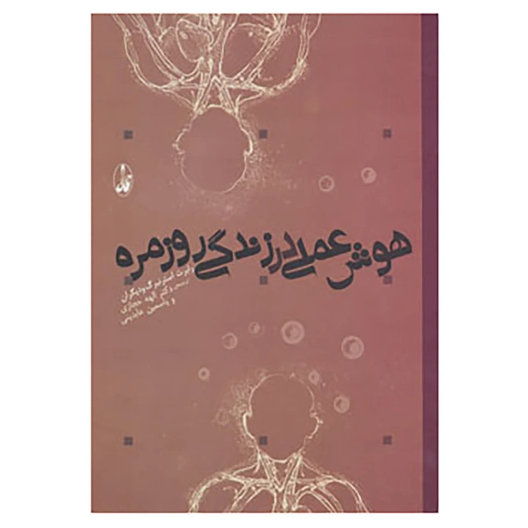هوش عملی در زندگی روزمره